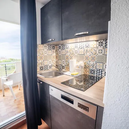 Apartament La Perle Bleue Vue Sur Mer-terrasse-parking-plage Prosconciergerie Palavas-les-Flots