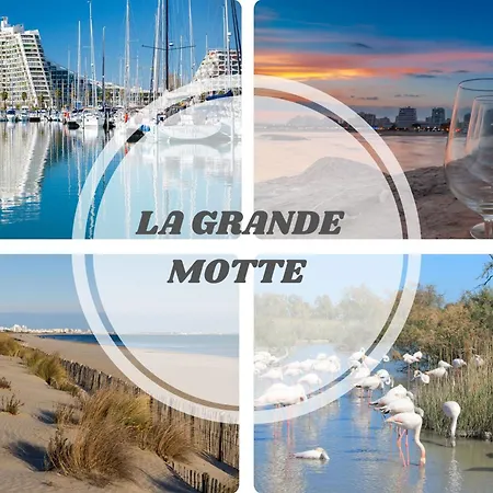 La Perle Bleue Vue Sur Mer-terrasse-parking-plage Prosconciergerie Palavas-les-Flots