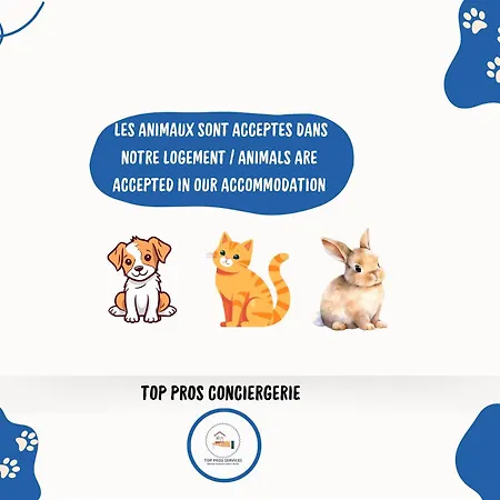 La Perle Bleue Vue Sur Mer-terrasse-parking-plage Prosconciergerie